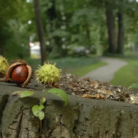 Am Alten Park 3* אוגסבורג