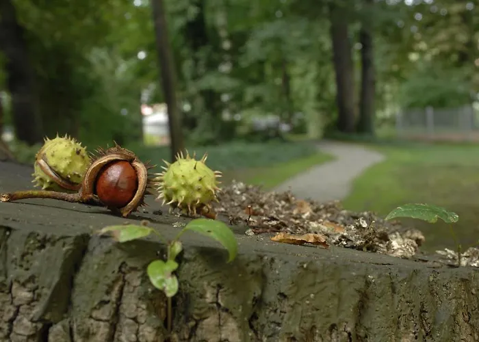 Am Alten Park 3* Augsburg